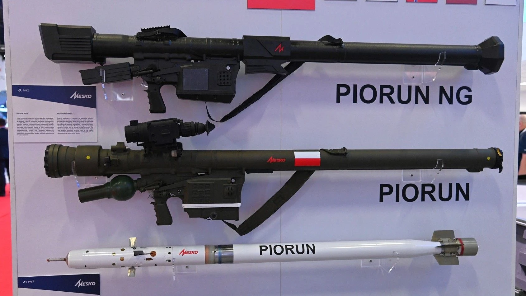 Piorun NG